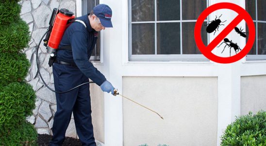 Çaybaşı Dezenfeksiyon böcek ilaçlama ve haşere kontrolü — ilaclama-tr.com